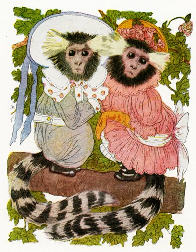 `` The Marmoset Twins &39;&39; ، 1913 بواسطة مارتن روس